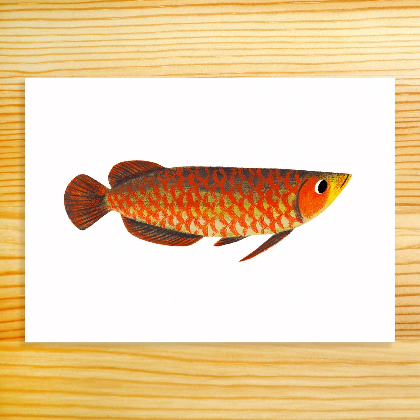 Arowana - 5x7 Print