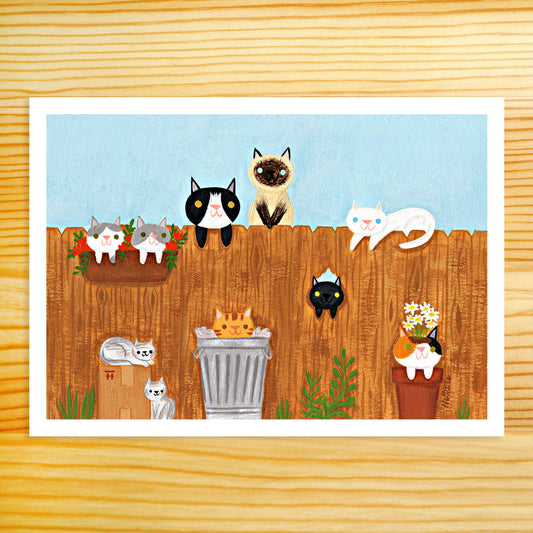Neighborhood Cats - 5x7 Print