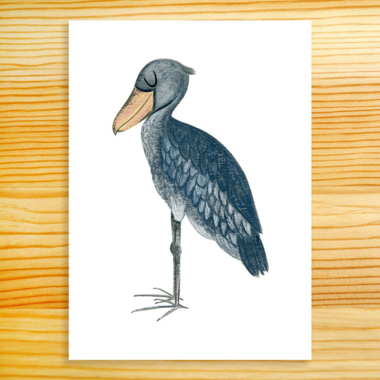 Shoebill - 5x7 Print