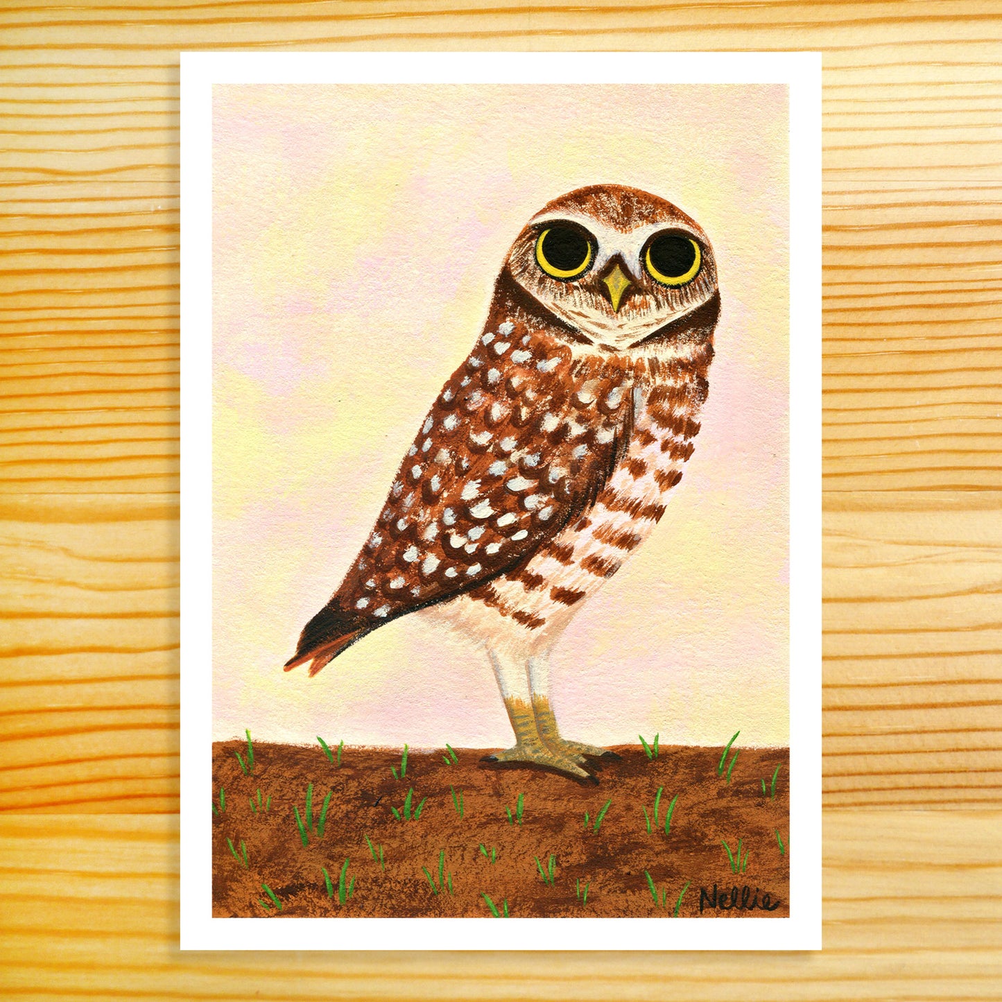 Burrowing Owl - 5x7 Print