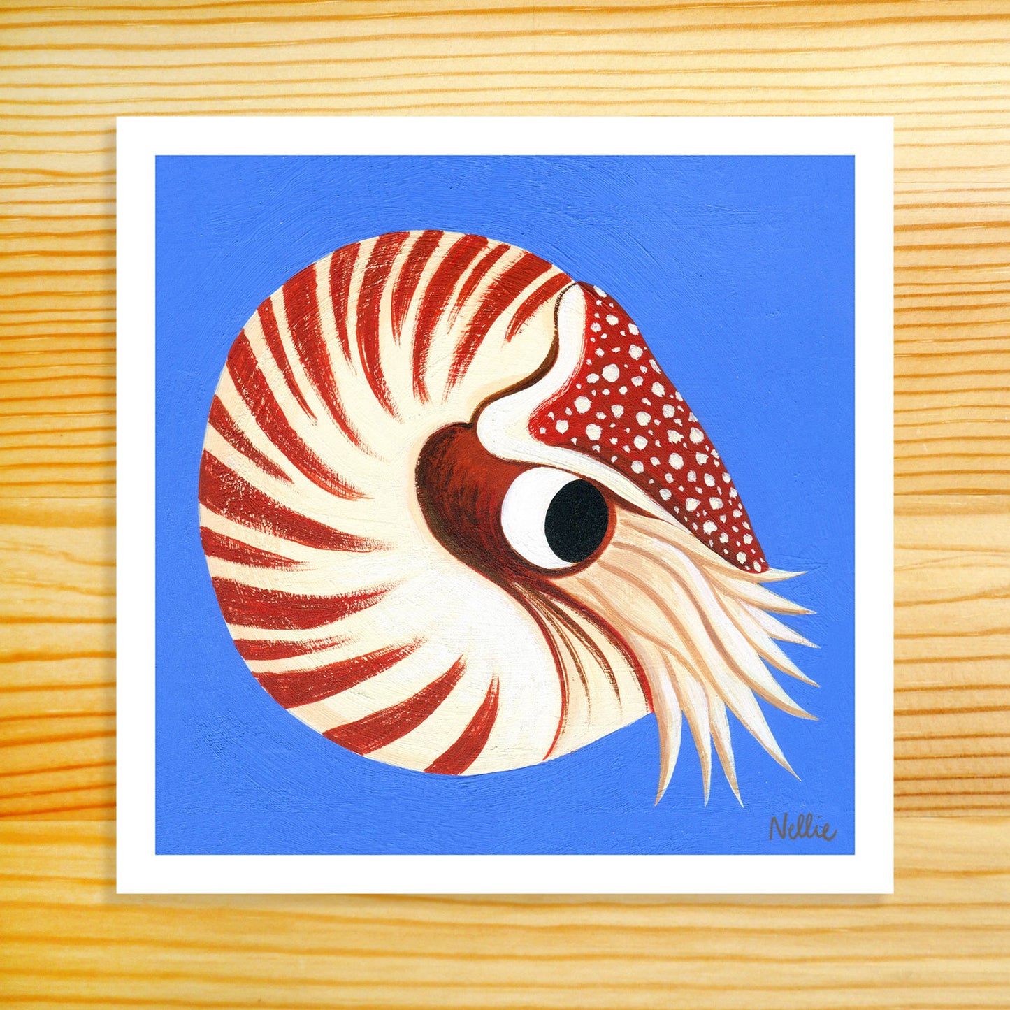 Nautilus - 5x5 Art Print