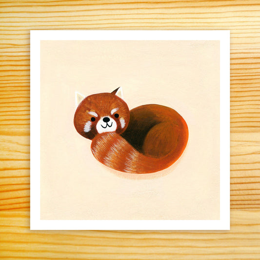 Red Panda - 5x5 Print