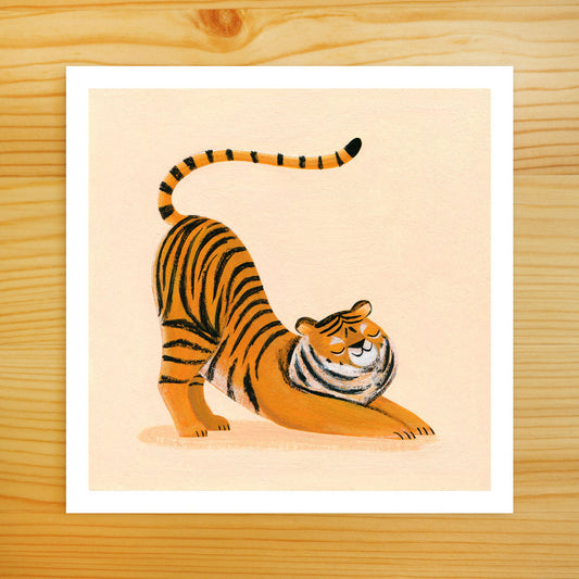 Tiger Stretch - 5x5 Print