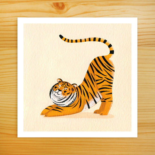 Tiger Stretch 2 - 5x5 Print